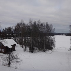 База отдыха Динамо, Васкелово, Ленинградская область