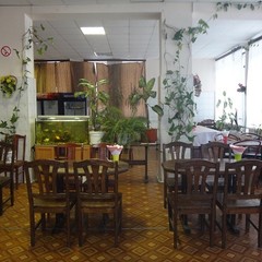 База отдыха Динамо, Васкелово, Ленинградская область