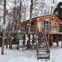 Эко-отель Алексеевка, Ваулино, Московская область
