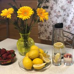 Гостиничный комплекс Приокские зори, Велегож, Тульская область