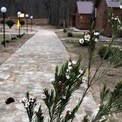 Гостиничный комплекс Приокские зори, Велегож, Тульская область