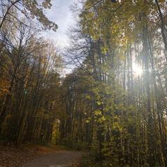 Гостиничный комплекс Приокские зори, Велегож, Тульская область