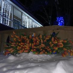 Гостиничный комплекс Приокские зори, Велегож, Тульская область