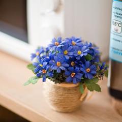 Гостиница Ганза, Великий Новгород, Новгородская область