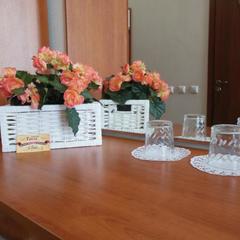 Гостиница Ганза, Великий Новгород, Новгородская область