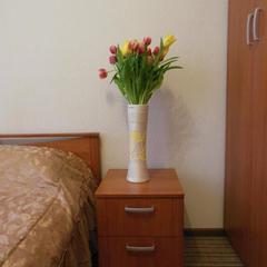 Гостиница Ганза, Великий Новгород, Новгородская область