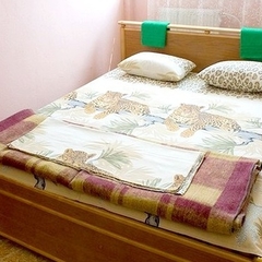 Гостевой дом В Панковке, Великий Новгород, Новгородская область