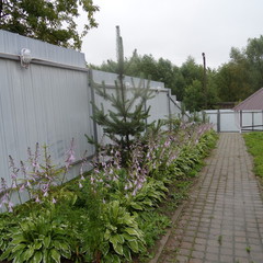 Отель Вернисаж, Великий Новгород, Новгородская область