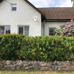 Гостиница Альянс, Великий Новгород, Новгородская область