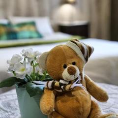 Апартаменты «Берлога-Сити», Великий Новгород, Новгородская область