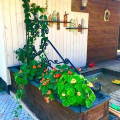 Апартаменты «Берлога-Сити», Великий Новгород, Новгородская область