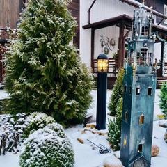 Апартаменты «Берлога-Сити», Великий Новгород, Новгородская область