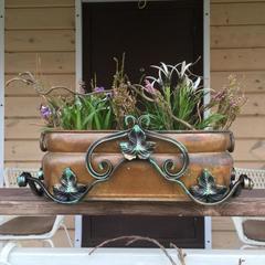 Апартаменты «Берлога-Сити», Великий Новгород, Новгородская область