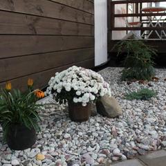 Апартаменты «Берлога-Сити», Великий Новгород, Новгородская область