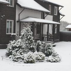 Апартаменты «Берлога-Сити», Великий Новгород, Новгородская область