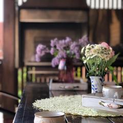 Апартаменты «Берлога-Сити», Великий Новгород, Новгородская область