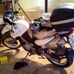 Гостевой дом Три Клена, Великий Новгород, Новгородская область