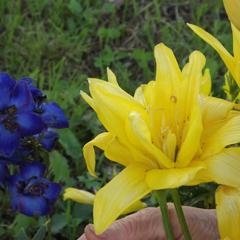 Гостевой дом Три Клена, Великий Новгород, Новгородская область