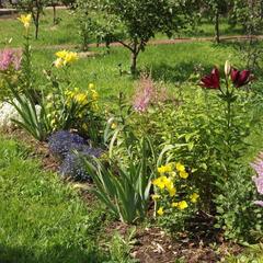 Гостевой дом Три Клена, Великий Новгород, Новгородская область