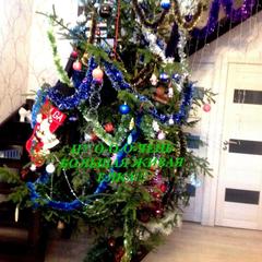 Отель Апартаменты с проживанием в семье Прусская, Великий Новгород, Новгородская область