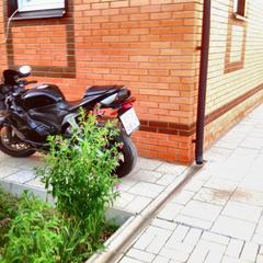 Отель Апартаменты с проживанием в семье Прусская, Великий Новгород, Новгородская область