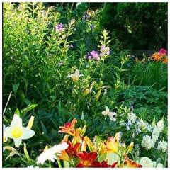 Отель Апартаменты с проживанием в семье Прусская, Великий Новгород, Новгородская область