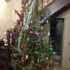 Отель Апартаменты с проживанием в семье Прусская, Великий Новгород, Новгородская область