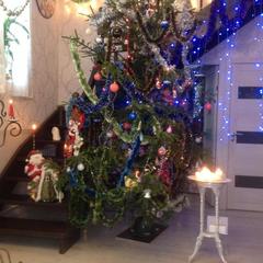 Отель Апартаменты с проживанием в семье Прусская, Великий Новгород, Новгородская область