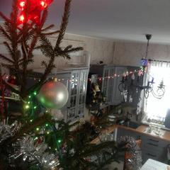 Отель Апартаменты с проживанием в семье Прусская, Великий Новгород, Новгородская область