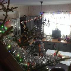 Отель Апартаменты с проживанием в семье Прусская, Великий Новгород, Новгородская область