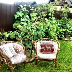 Отель Апартаменты с проживанием в семье Прусская, Великий Новгород, Новгородская область