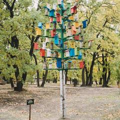 Парк-отель Дубровский, Среднеахтубинский район, Волгоградская область