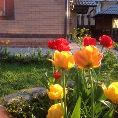 Отель Апартаменты с проживанием в семье Прусская, Великий Новгород, Новгородская область