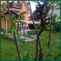 Отель Апартаменты с проживанием в семье Прусская, Великий Новгород, Новгородская область