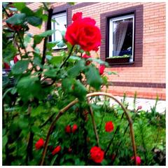 Отель Апартаменты с проживанием в семье Прусская, Великий Новгород, Новгородская область