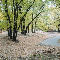 Парк-отель Дубровский, Среднеахтубинский район, Волгоградская область