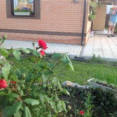 Отель Апартаменты с проживанием в семье Прусская, Великий Новгород, Новгородская область