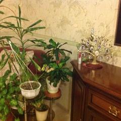 Отель Апартаменты с проживанием в семье Прусская, Великий Новгород, Новгородская область