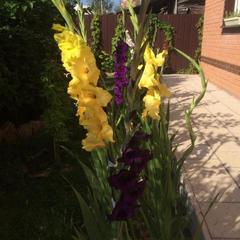 Отель Апартаменты с проживанием в семье Прусская, Великий Новгород, Новгородская область