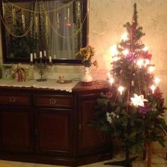 Отель Апартаменты с проживанием в семье Прусская, Великий Новгород, Новгородская область