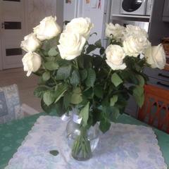 Отель Апартаменты с проживанием в семье Прусская, Великий Новгород, Новгородская область