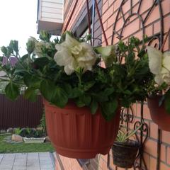 Отель Апартаменты с проживанием в семье Прусская, Великий Новгород, Новгородская область