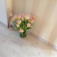 Отель Апартаменты с проживанием в семье Прусская, Великий Новгород, Новгородская область