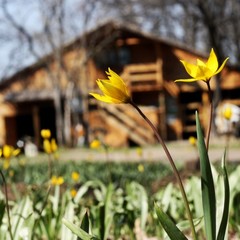 Парк-отель Дубровский, Среднеахтубинский район, Волгоградская область