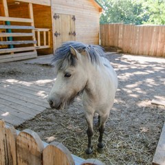 Парк-отель Дубровский, Среднеахтубинский район, Волгоградская область