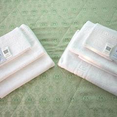 Гостиница Сияние Севера, Вельск, Архангельская область