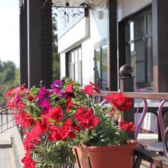 Отель ТГК Колесо, Вельск, Архангельская область