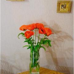 Мини-отель Кают Компания, Вельск, Архангельская область