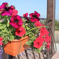 Отель ТГК Колесо, Вельск, Архангельская область