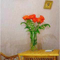 Мини-отель Кают Компания, Вельск, Архангельская область